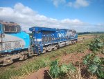 RUMO 9877